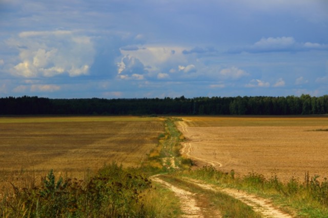 Продовольственная